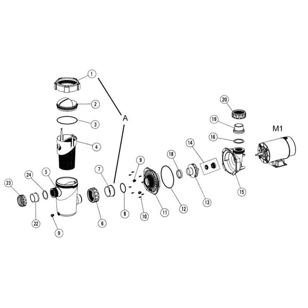 77ebea03-d180-451c-ab53-6e1fb2746e32_01